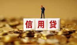 东莞9哪有个人借贷-东莞9小额贷款公司-东莞9私借空放免费上门