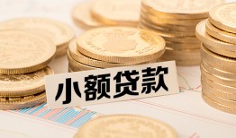 东莞9身份证贷款平台-东莞9私人借贷不查征信-东莞9空放借钱